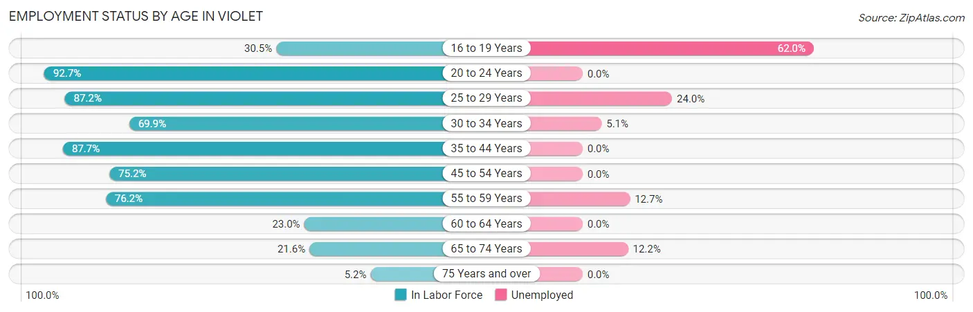 Employment Status by Age in Violet