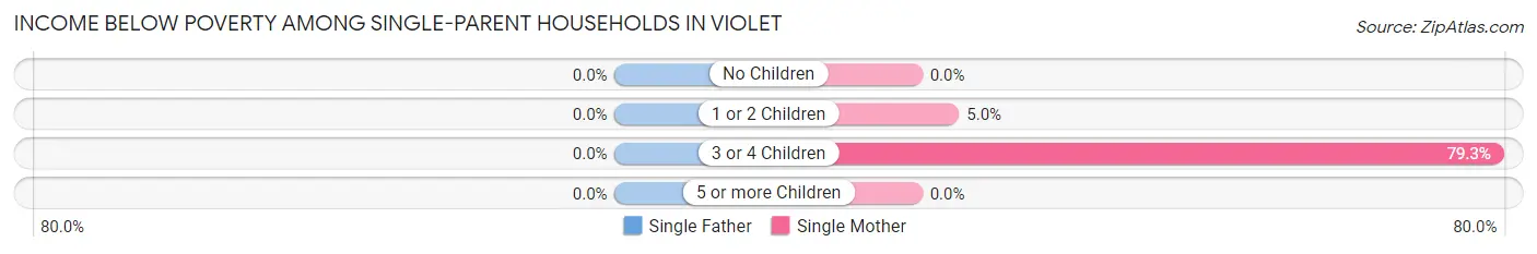 Income Below Poverty Among Single-Parent Households in Violet