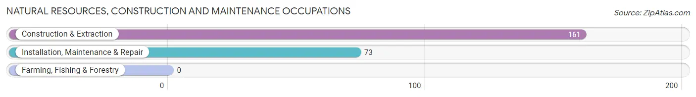 Natural Resources, Construction and Maintenance Occupations in Violet