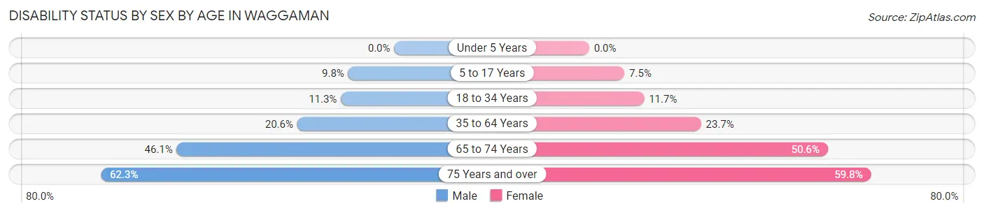 Disability Status by Sex by Age in Waggaman