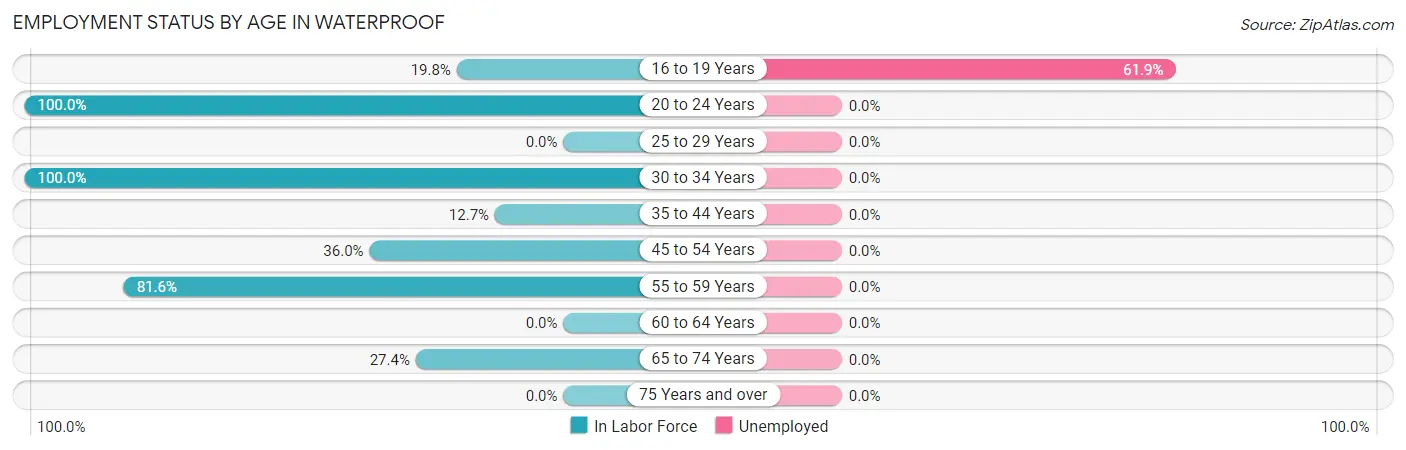 Employment Status by Age in Waterproof