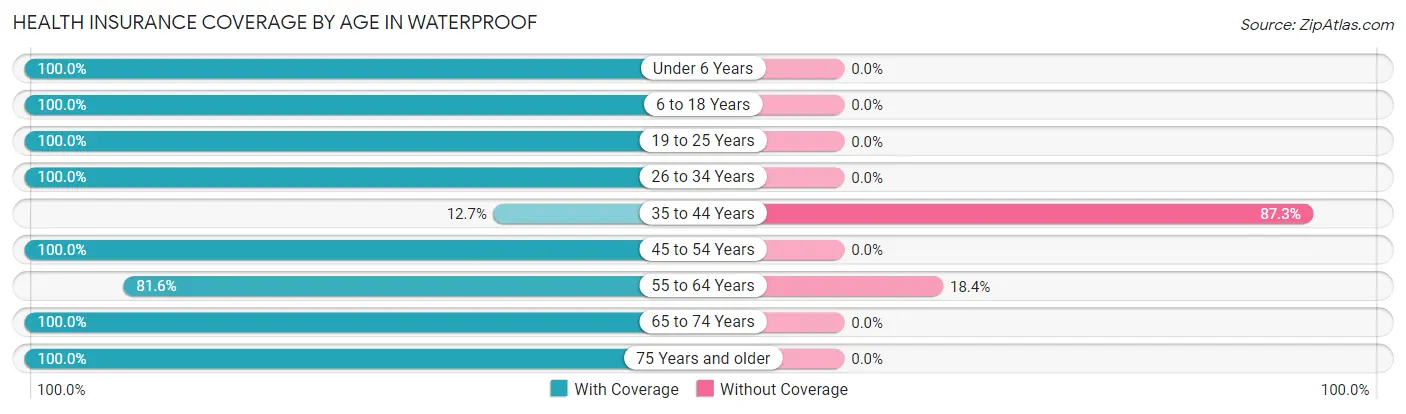 Health Insurance Coverage by Age in Waterproof