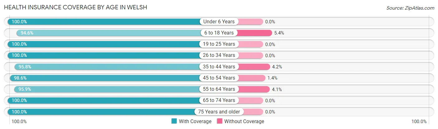 Health Insurance Coverage by Age in Welsh