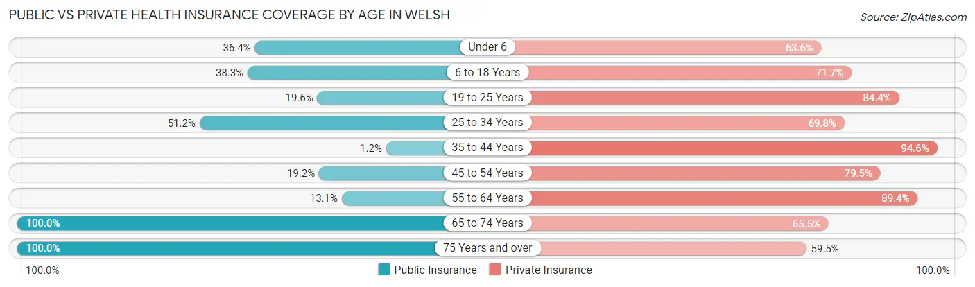 Public vs Private Health Insurance Coverage by Age in Welsh