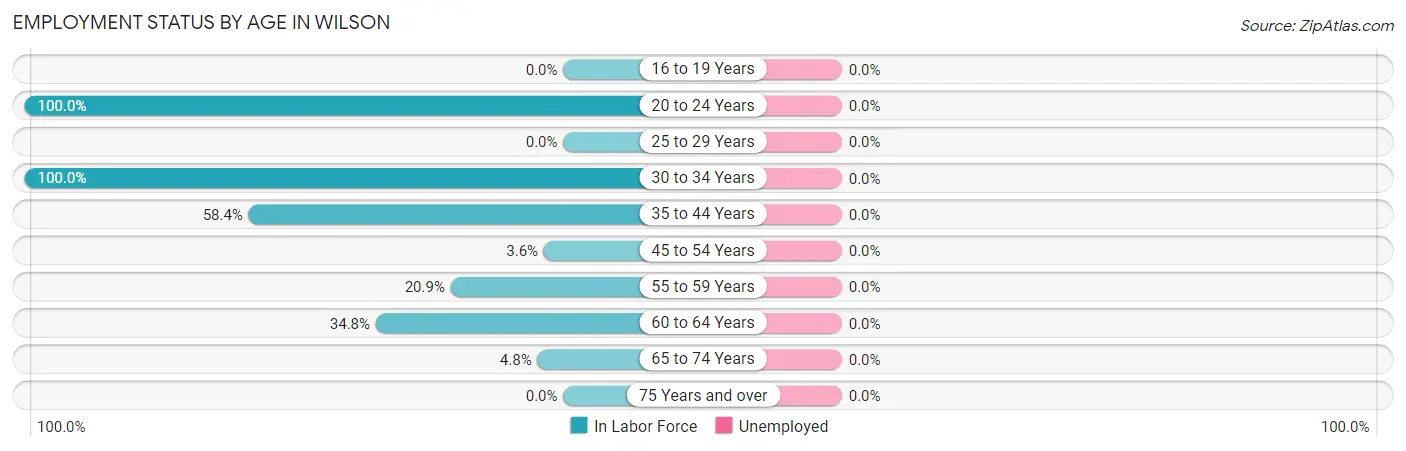 Employment Status by Age in Wilson