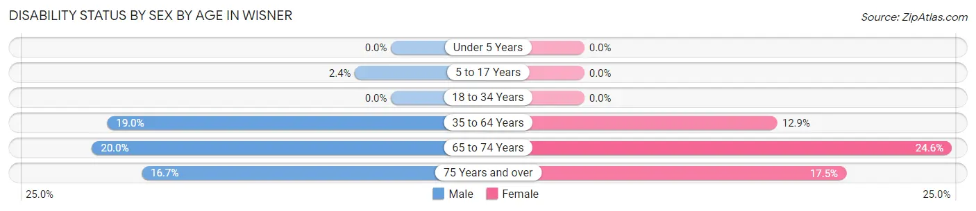 Disability Status by Sex by Age in Wisner