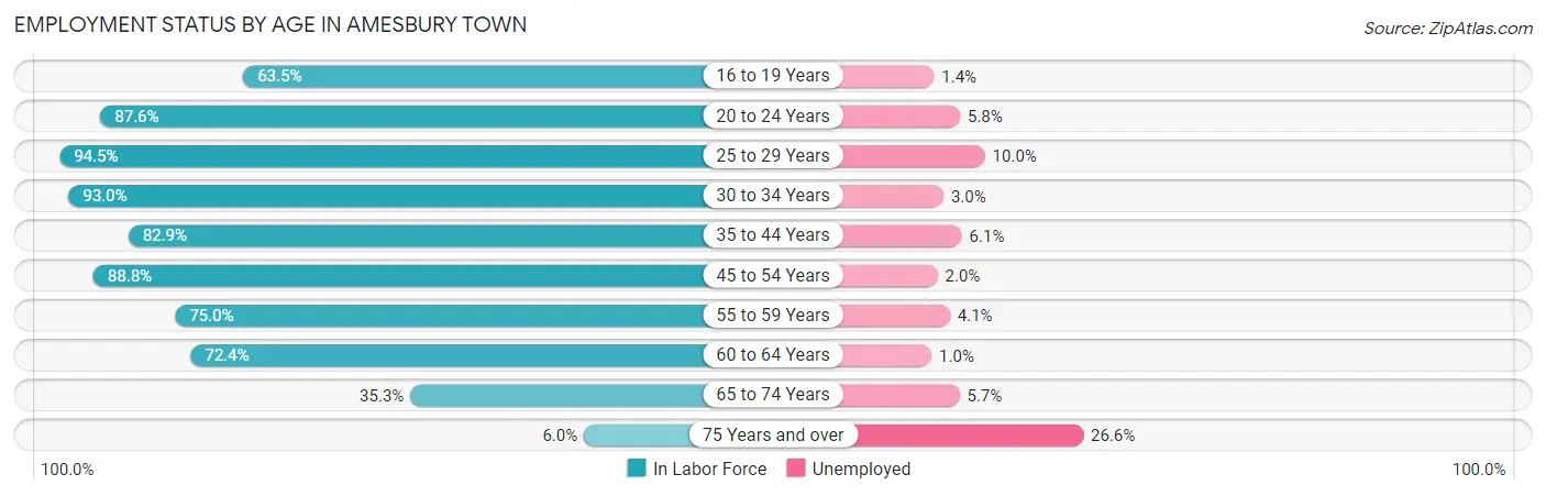 Employment Status by Age in Amesbury Town