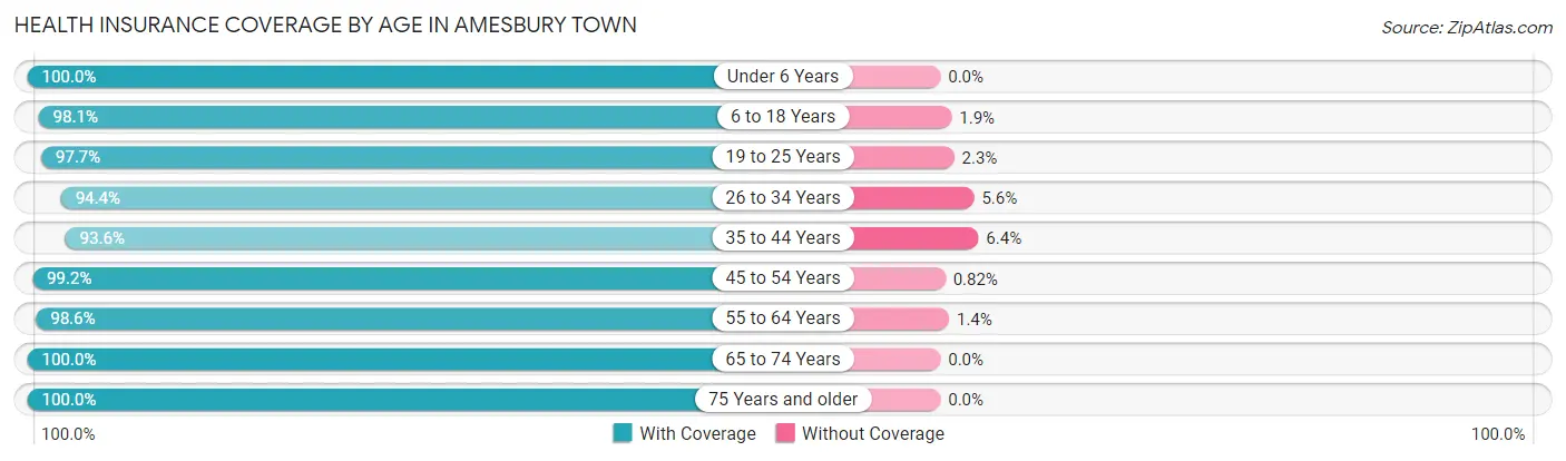 Health Insurance Coverage by Age in Amesbury Town
