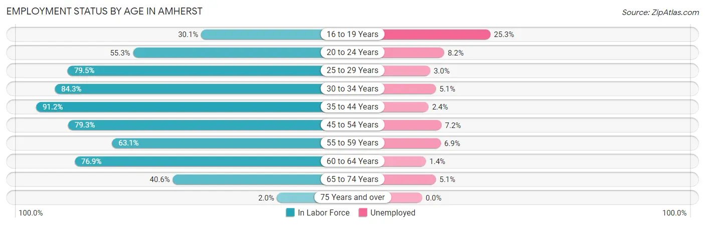 Employment Status by Age in Amherst
