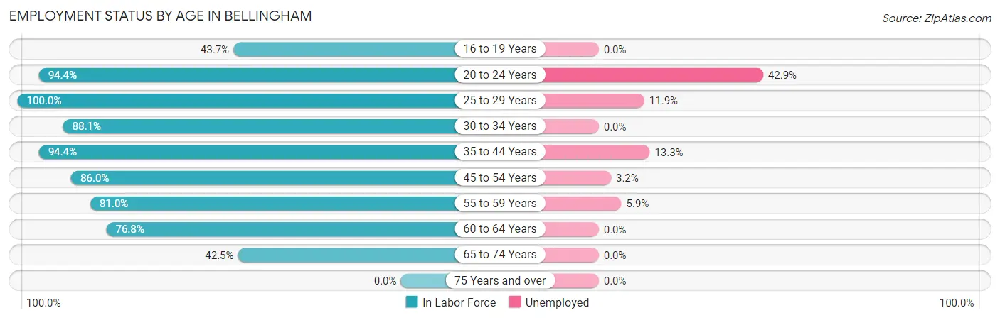 Employment Status by Age in Bellingham
