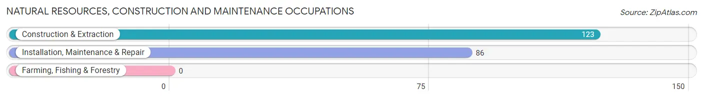 Natural Resources, Construction and Maintenance Occupations in Bellingham