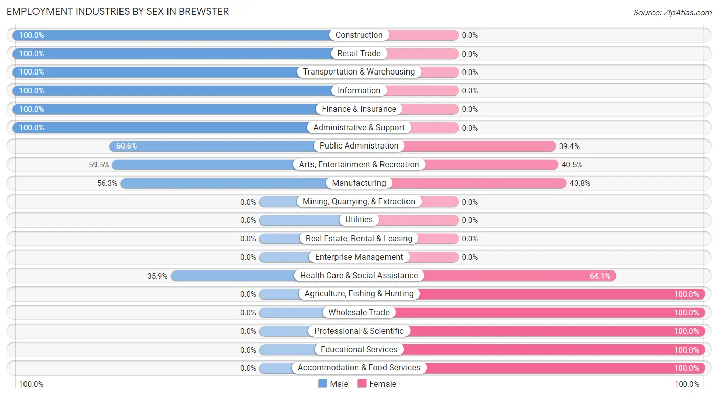 Employment Industries by Sex in Brewster