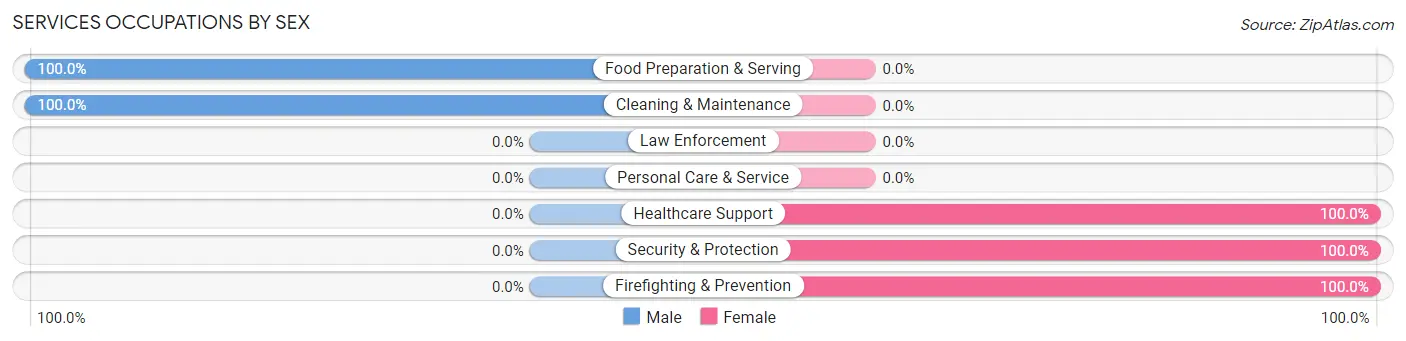 Services Occupations by Sex in Brookfield