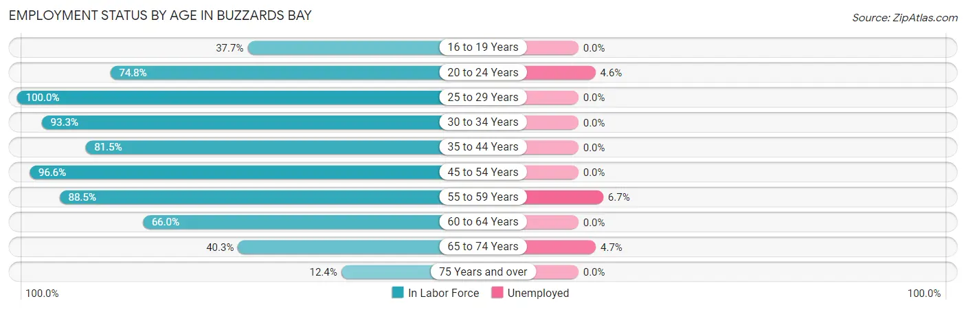 Employment Status by Age in Buzzards Bay