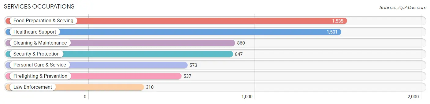 Services Occupations in Chicopee