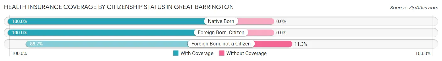 Health Insurance Coverage by Citizenship Status in Great Barrington