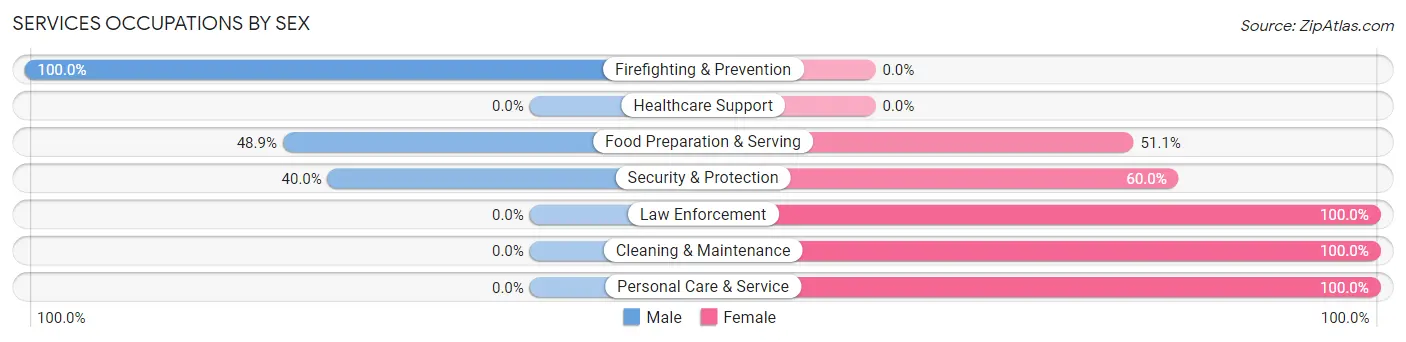 Services Occupations by Sex in Great Barrington
