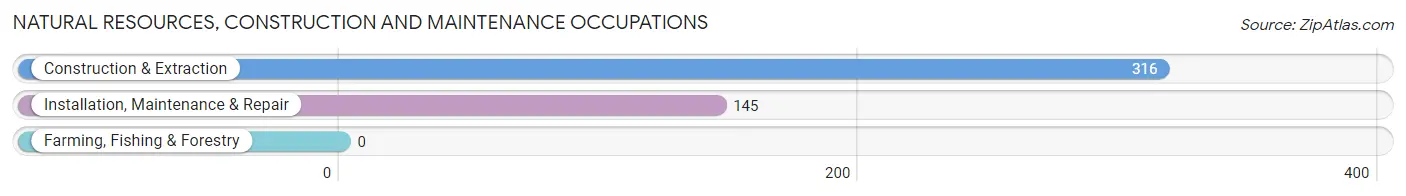 Natural Resources, Construction and Maintenance Occupations in Hudson