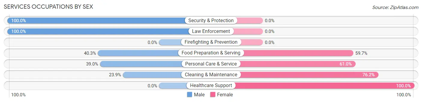 Services Occupations by Sex in Ipswich