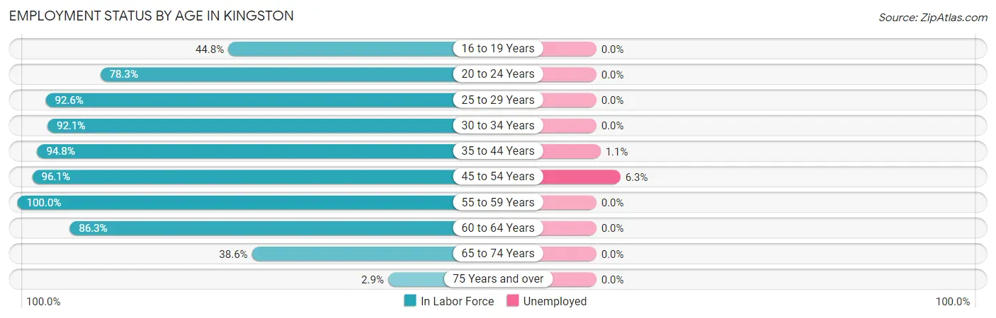 Employment Status by Age in Kingston