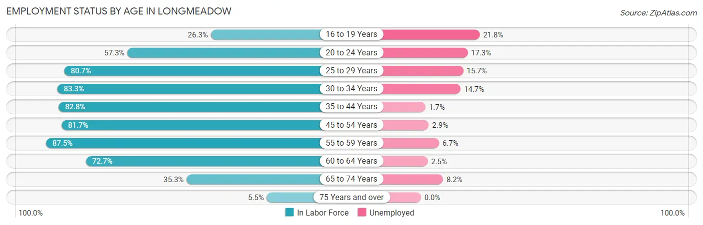 Employment Status by Age in Longmeadow