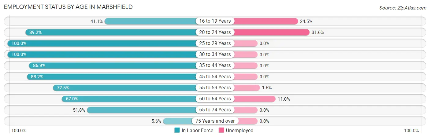 Employment Status by Age in Marshfield