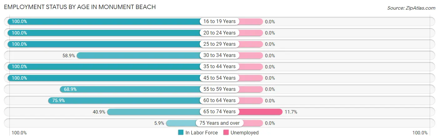 Employment Status by Age in Monument Beach
