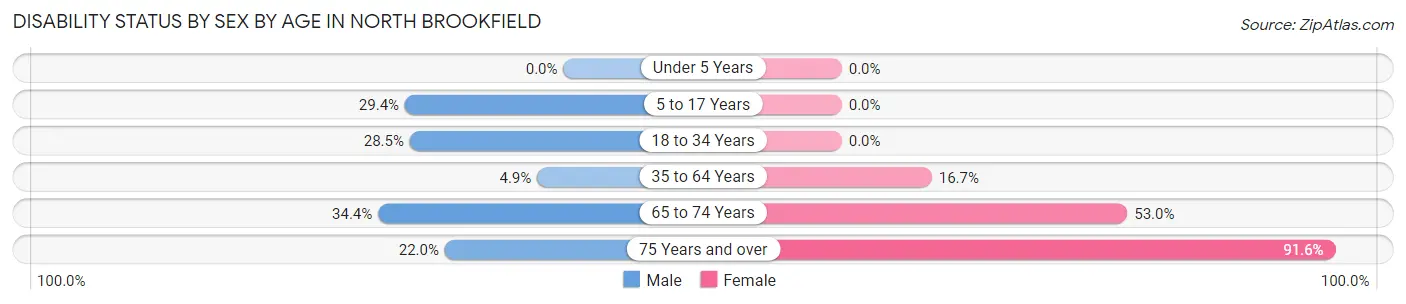 Disability Status by Sex by Age in North Brookfield