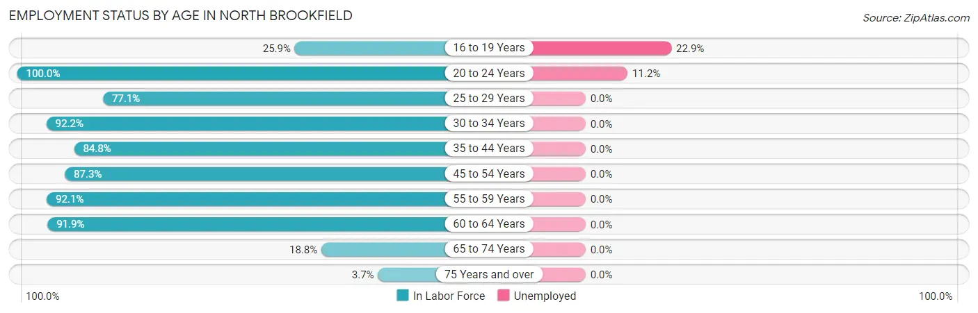 Employment Status by Age in North Brookfield