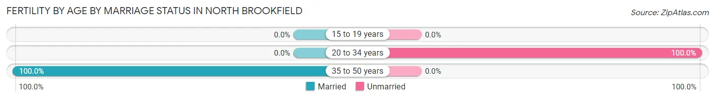 Female Fertility by Age by Marriage Status in North Brookfield