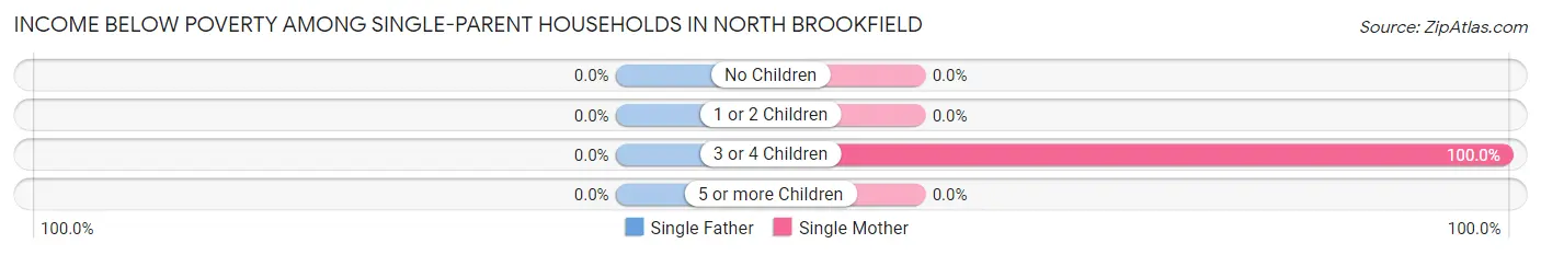 Income Below Poverty Among Single-Parent Households in North Brookfield