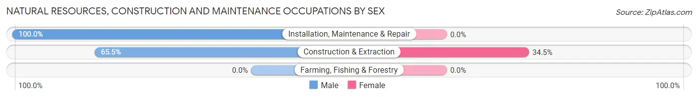Natural Resources, Construction and Maintenance Occupations by Sex in North Brookfield