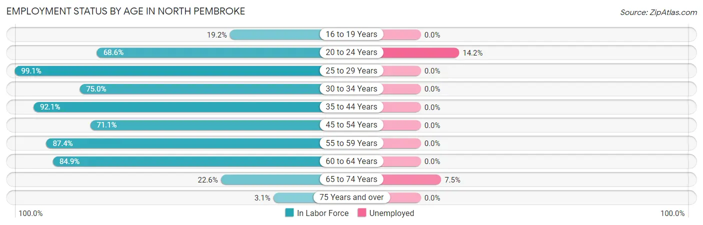 Employment Status by Age in North Pembroke