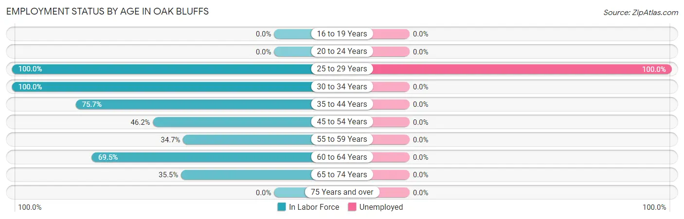 Employment Status by Age in Oak Bluffs