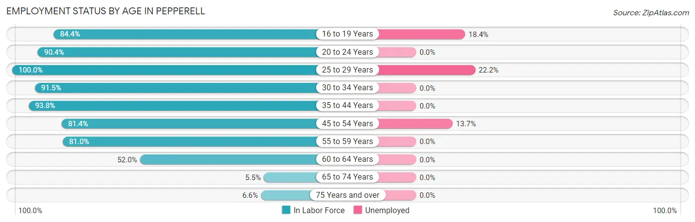 Employment Status by Age in Pepperell