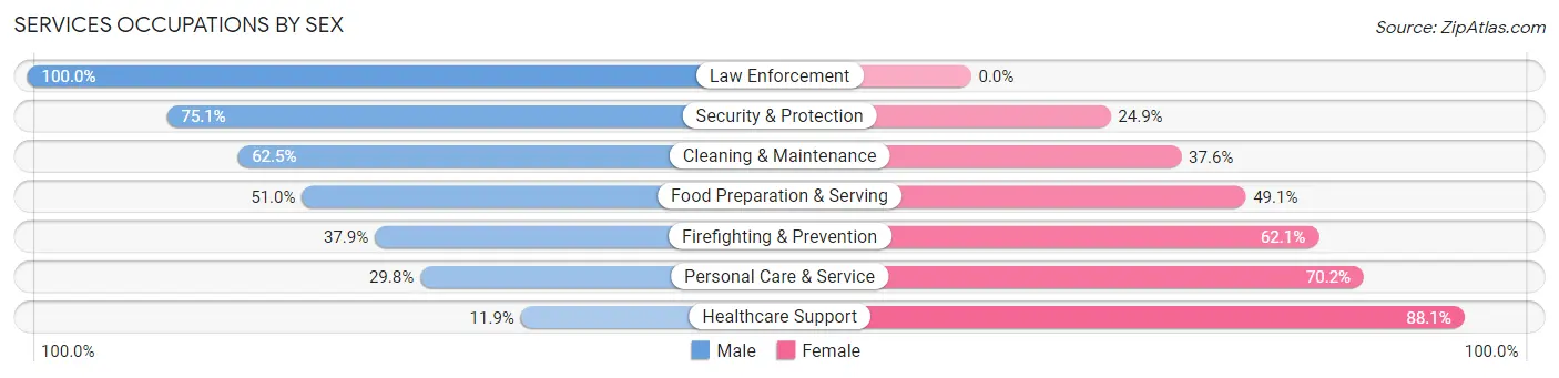 Services Occupations by Sex in Pittsfield