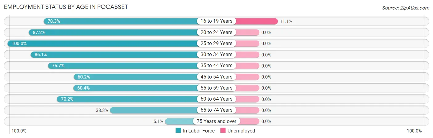 Employment Status by Age in Pocasset