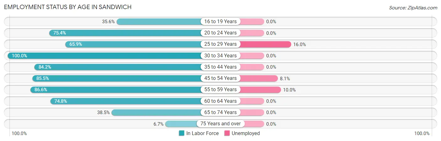 Employment Status by Age in Sandwich
