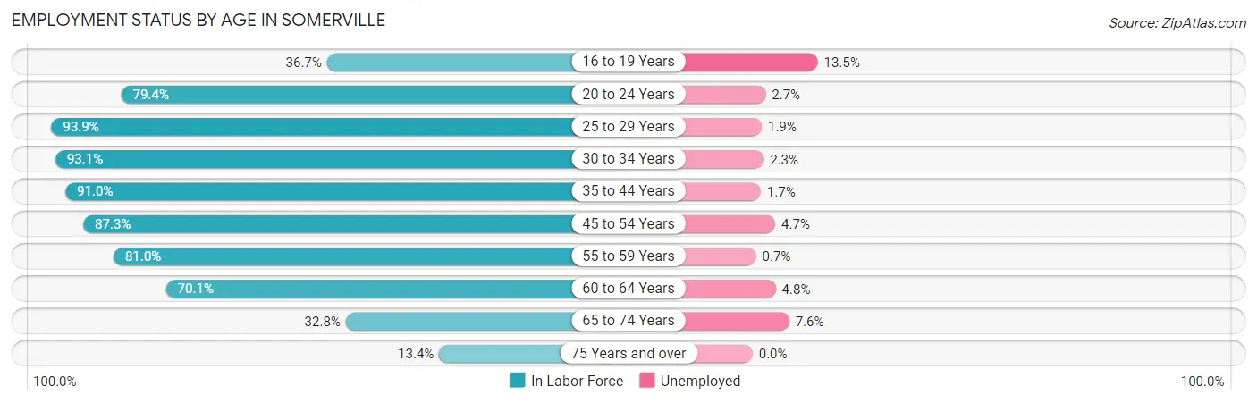 Employment Status by Age in Somerville