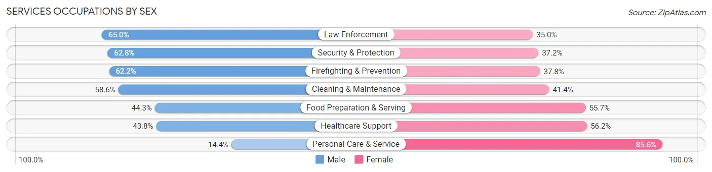 Services Occupations by Sex in Stoneham