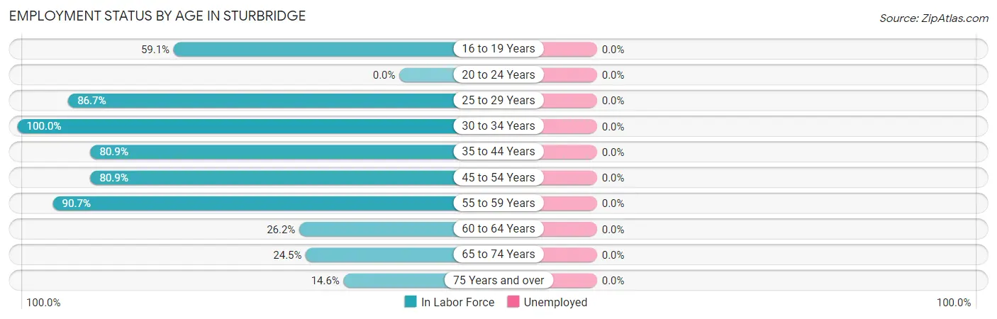 Employment Status by Age in Sturbridge
