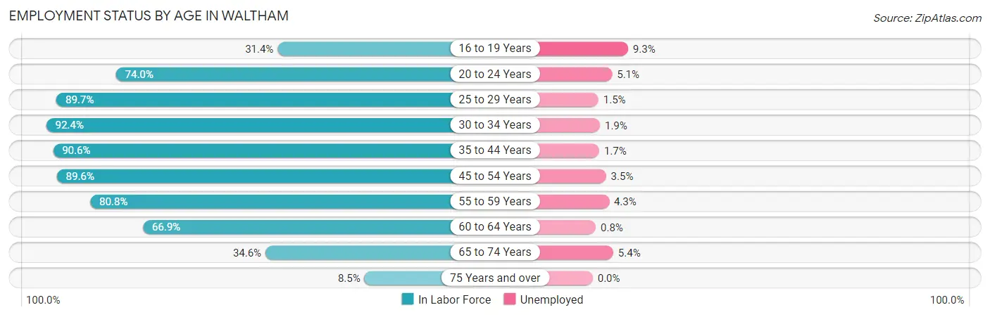 Employment Status by Age in Waltham