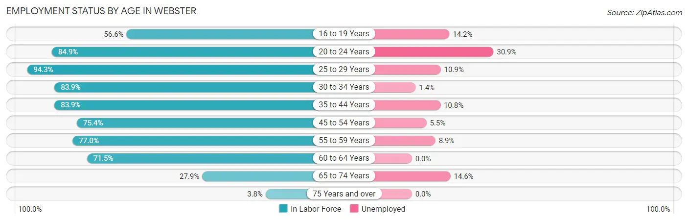 Employment Status by Age in Webster