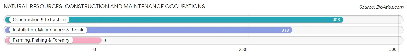 Natural Resources, Construction and Maintenance Occupations in Webster