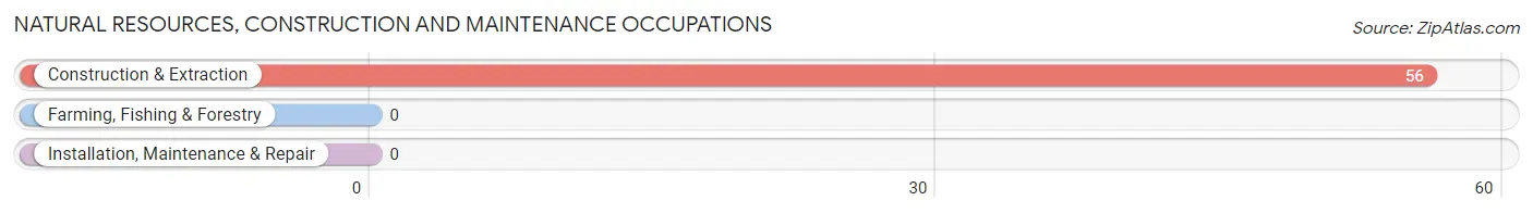 Natural Resources, Construction and Maintenance Occupations in West Chatham