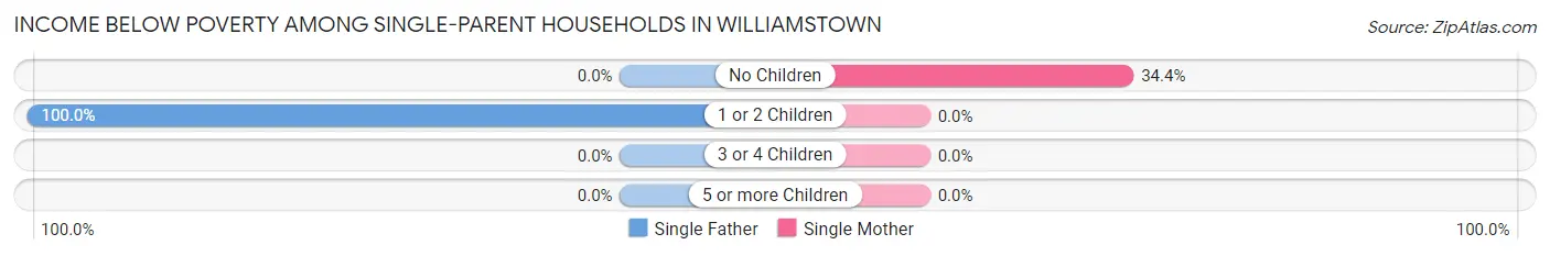 Income Below Poverty Among Single-Parent Households in Williamstown