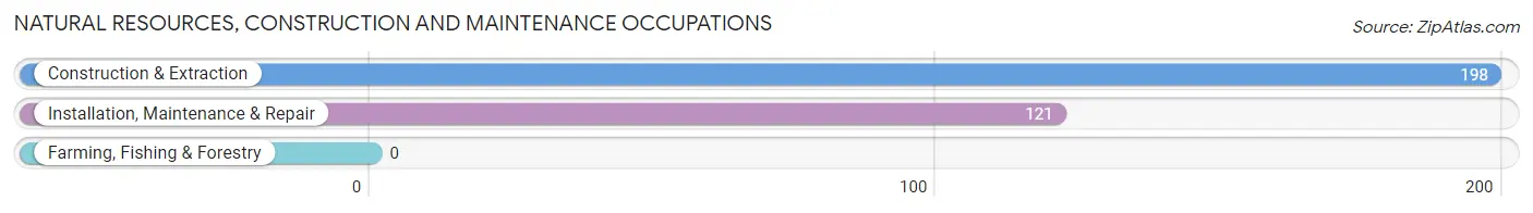 Natural Resources, Construction and Maintenance Occupations in Abingdon