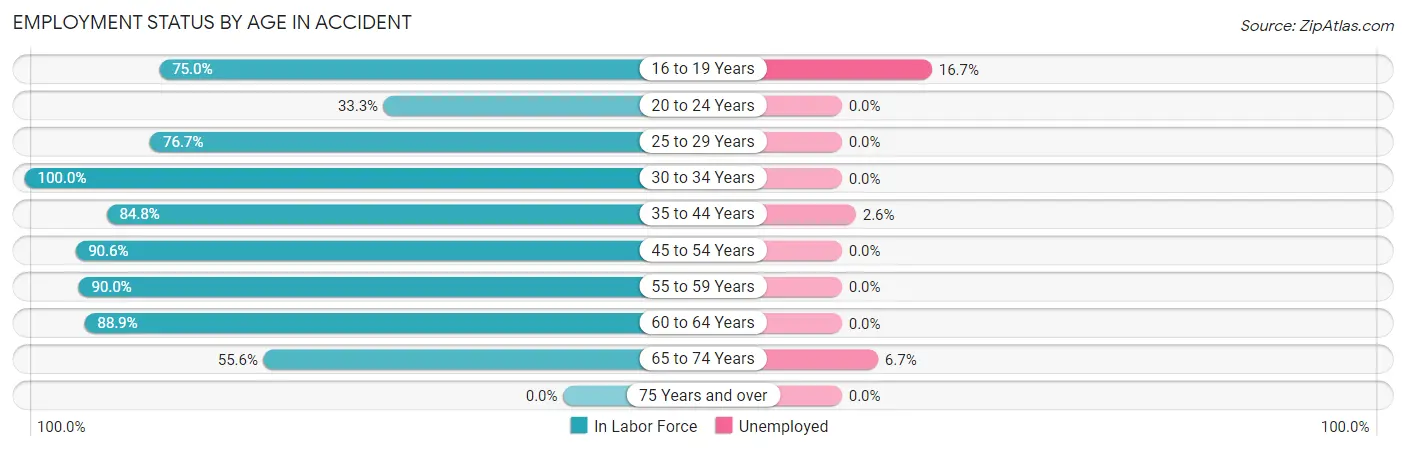 Employment Status by Age in Accident