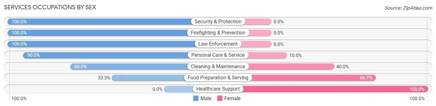 Services Occupations by Sex in Accident