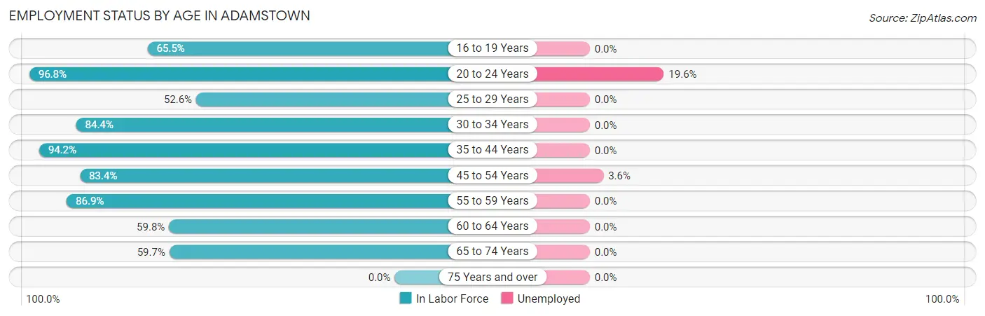 Employment Status by Age in Adamstown